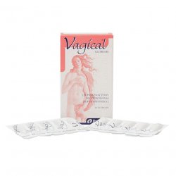Вагикаль суппозитории вагинальные 150 мг N10 в Сыктывкаре и области фото